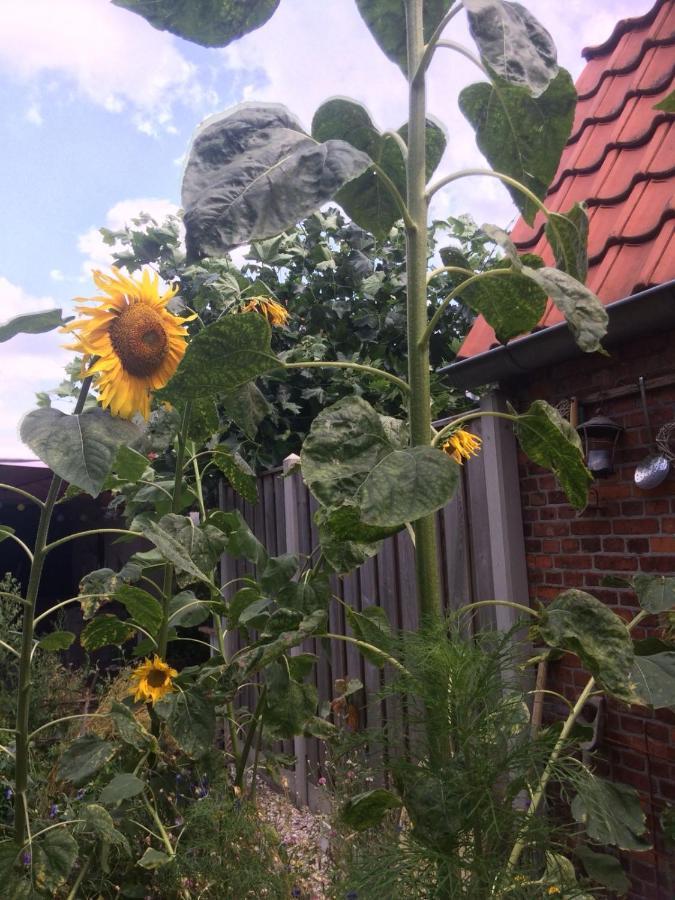 Bed & Breakfast Yerseke Exterior foto